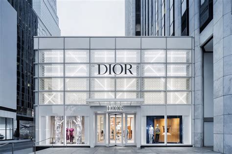 shop online dior saldi